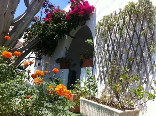 Villa Tranquila Orzola Exterior photo